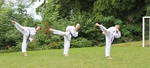 taekwondo ellwangen