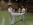 Taekwondo Ellwangen